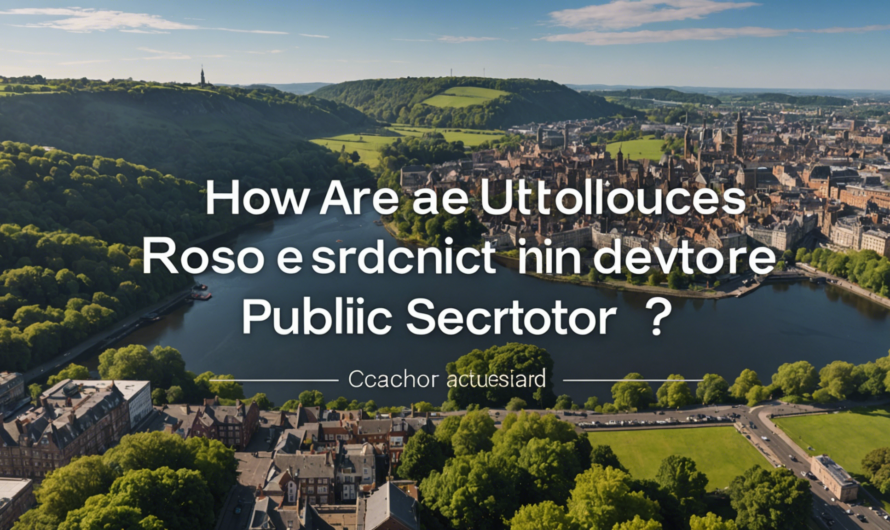 ¿Cómo se asignan los recursos en el sector público?